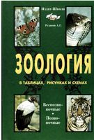 Зоология в таблицах схемах и рисунках Резанов