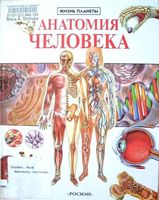 Анатомия человека Марк Крокер