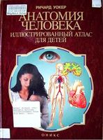 Анатомия человека Иллюстрированный атлас для детей Ричард Уокер