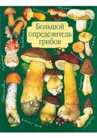 Большой определитель грибов Юдин