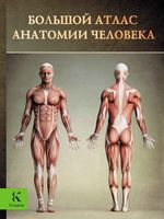 Большой атлас анатомии человека Перез Винсент