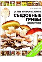Самые распространенные съедобные грибы Вишневский
