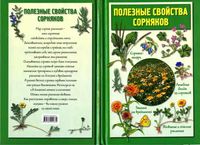 Полезные свойства сорняков Кислова