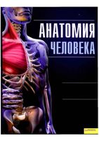 Анатомия человека Иллюстрированный атлас Кассан
