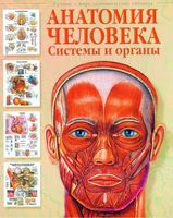 Анатомия человека Системы и органы Лучшие в мире анатомические таблицы Бехен