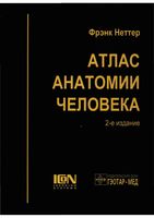 Атлас анатомии человека Неттер Фрэнк