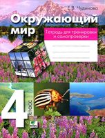 Окружающий мир 4 класс Тетрадь для тренировки и самопроверки Чудинова