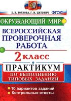 Всероссийская проверочная работа Окружающий мир 2 класс Волкова Цитович