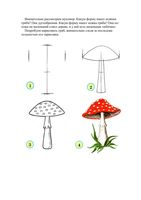 Учимся рисовать грибы