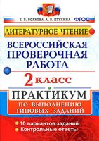 ВПР Литературное Чтение 2 класс Практикум Волкова Птухина