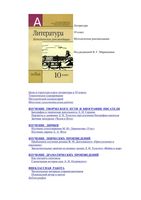 Литература 10 класс Методические рекомендации Маранцман