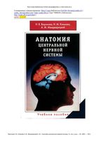 Анатомия центральной нервной системы Воронова Климова Менджерицкий