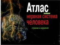 Атлас Нервная система человека Строение и нарушения Астапов Микадзе