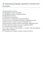 Годовой отчет Разгулин Новоселов Лапина Раздел В