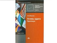 Основы аудита Практикум Иванова