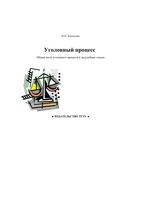 Уголовный процесс Общая часть уголовного процесса и досудебные стадии Копылова