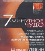 7-минутное чудо. Шелдон Левин.