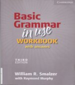 Basic Grammar in Use. Workbook