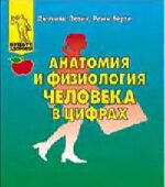 Анатомия и физиология человека в цифрах