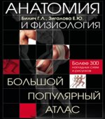 Анатомия и физиология. Большой популярный атлас. Билич Г.Л.