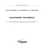 Анатомия человека