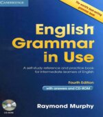 Английский язык. English Grammar in Use, 4 edition
