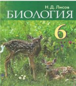 Биология. 6 класс