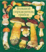 Большой определитель грибов. Юдин А.В.