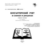Бухгалтерский учет в схемах и рисунках
