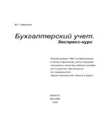 Бухгалтерский учет. Экспресс-курс
