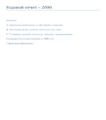 Годовой отчет 2008