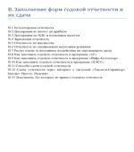 Годовой отчет 2008