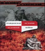 Гражданская история безумной войны