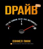 Драйв. Пинк Д.