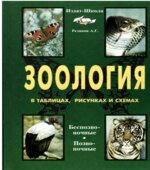 Зоология в таблицах, схемах и рисунках. 7-8 классы