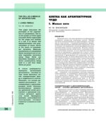 Клетка как архитектурное чудо