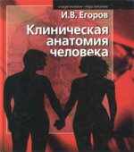Клиническая анатомия человека
