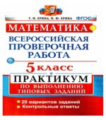 Математика. 5 класс. Всероссийская проверочная работа. Практикум