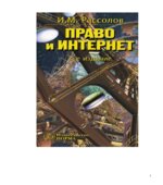 Право и Интернет. Теоретические проблемы. Рассолов И.М.