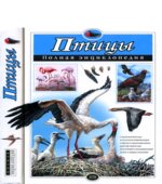 Птицы. Полная энциклопедия