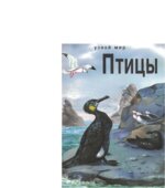 Птицы. Школьный путеводитель