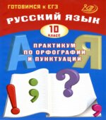 Русский язык 10 класс. Практикум по орфографии и пунктуации