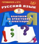 Русский язык 11 класс. Практикум по орфографии и пунктуации