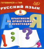 Русский язык 6 класс. Практикум по орфографии и пунктуации