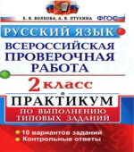 Русский язык. 2 класс. Всероссийская проверочная работа. Практикум