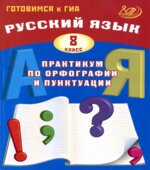 Русский язык. 8 класс. Практикум по орфографии и пунктуации