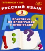 Русский язык. 9 класс. Практикум по орфографии и пунктуации