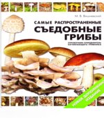 Самые распространенные съедобные грибы. Справочник-определитель начинающего грибника