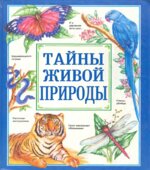 Страны мира в цифрах