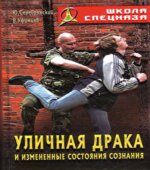 Уличная драка и измененные состояния сознания. Серебрянский Ю., Уфимцев В.